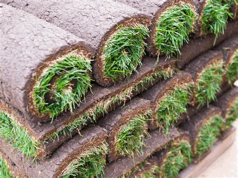 sod installation sacramento|Sacramento Sod Company 